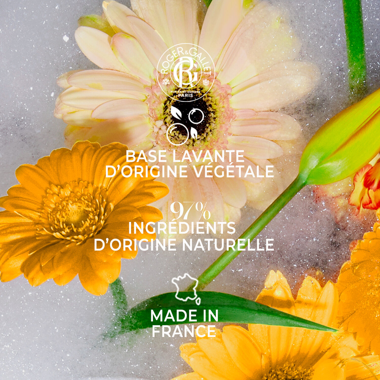 Cédrat - Savon Bienfaisant 100g