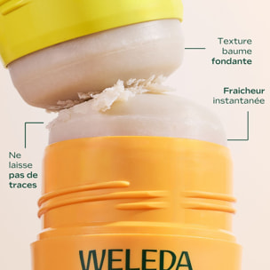 WELEDA - Déodorant Stick Rechargeable Fleur d'Oranger 50g - Formule 100% d'origine naturelle et sans alcool - Efficacité prouvée 24H