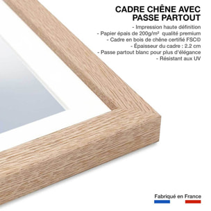 Affiche fleurs de coton au vent Affiche + cadre en bois - Chêne
