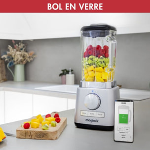 Blender MAGIMIX Power 5 XL Chrome Mat 11643