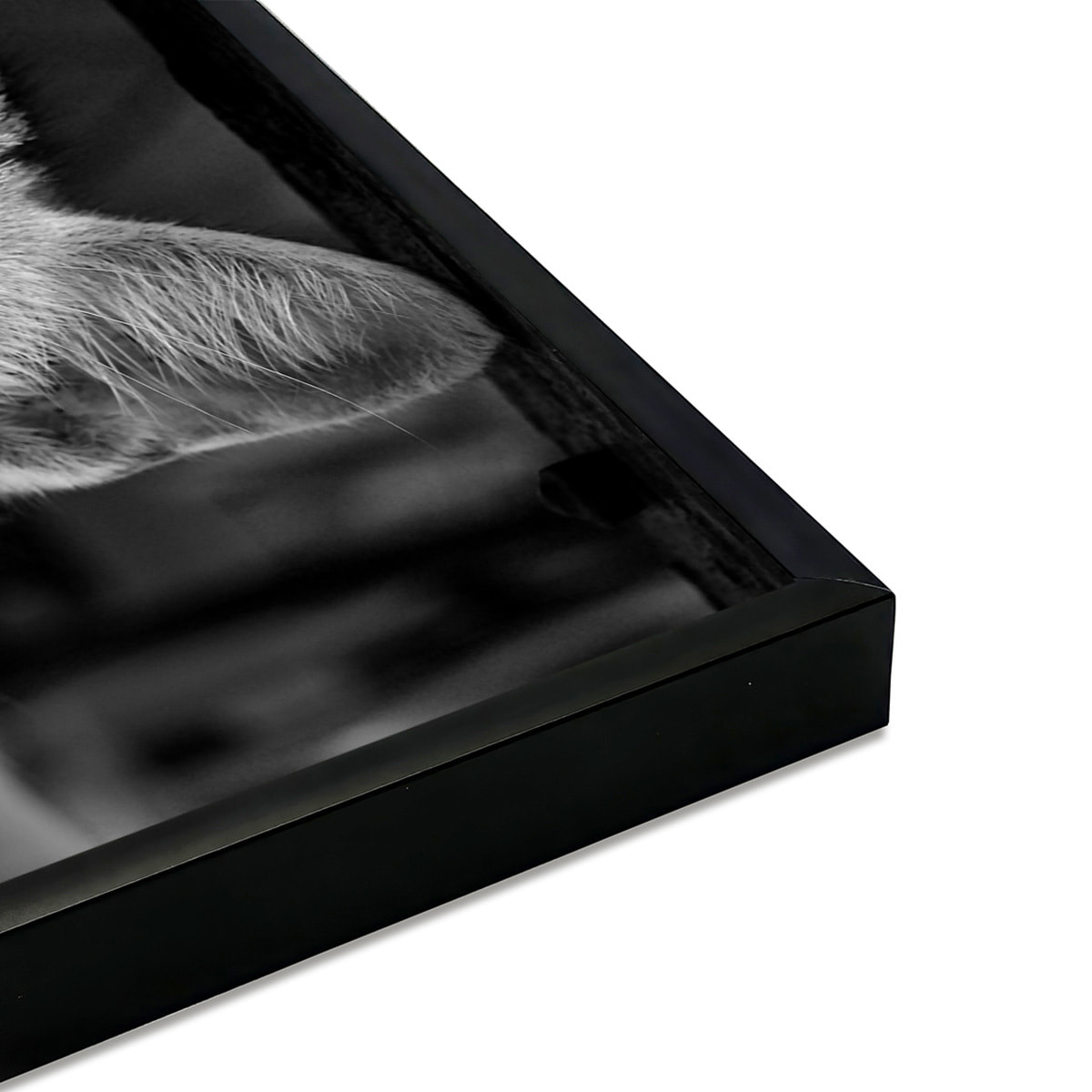 Affiche encadrée – Chat au regard doré, intensité et mystère Affiche + cadre en métal - Noir