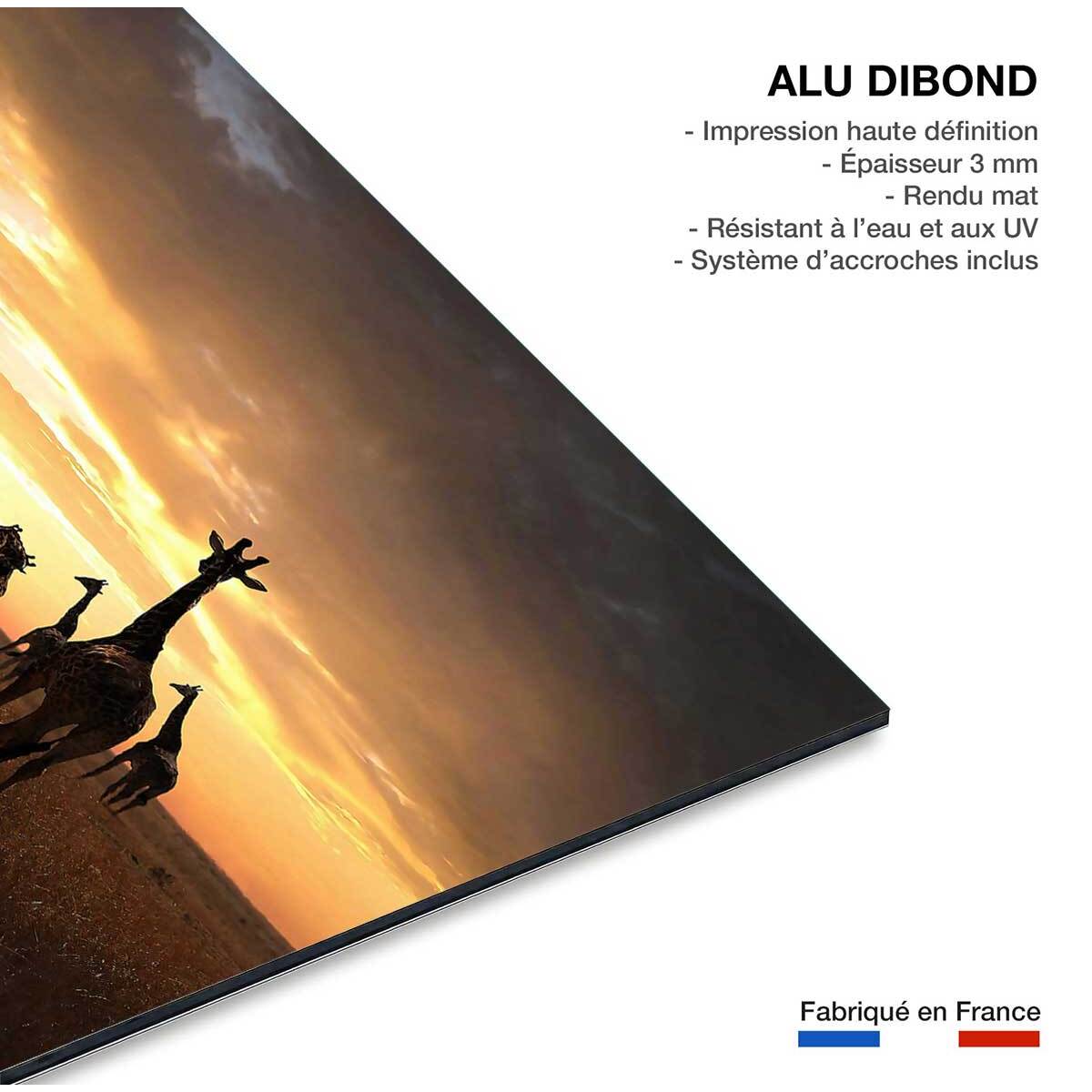 Tableau animaux girafe family Tableau alu Dibond