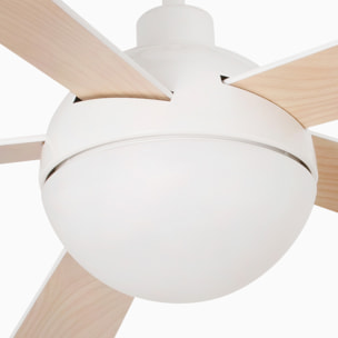 IZARO L LED ventilatore da soffitto bianco DC