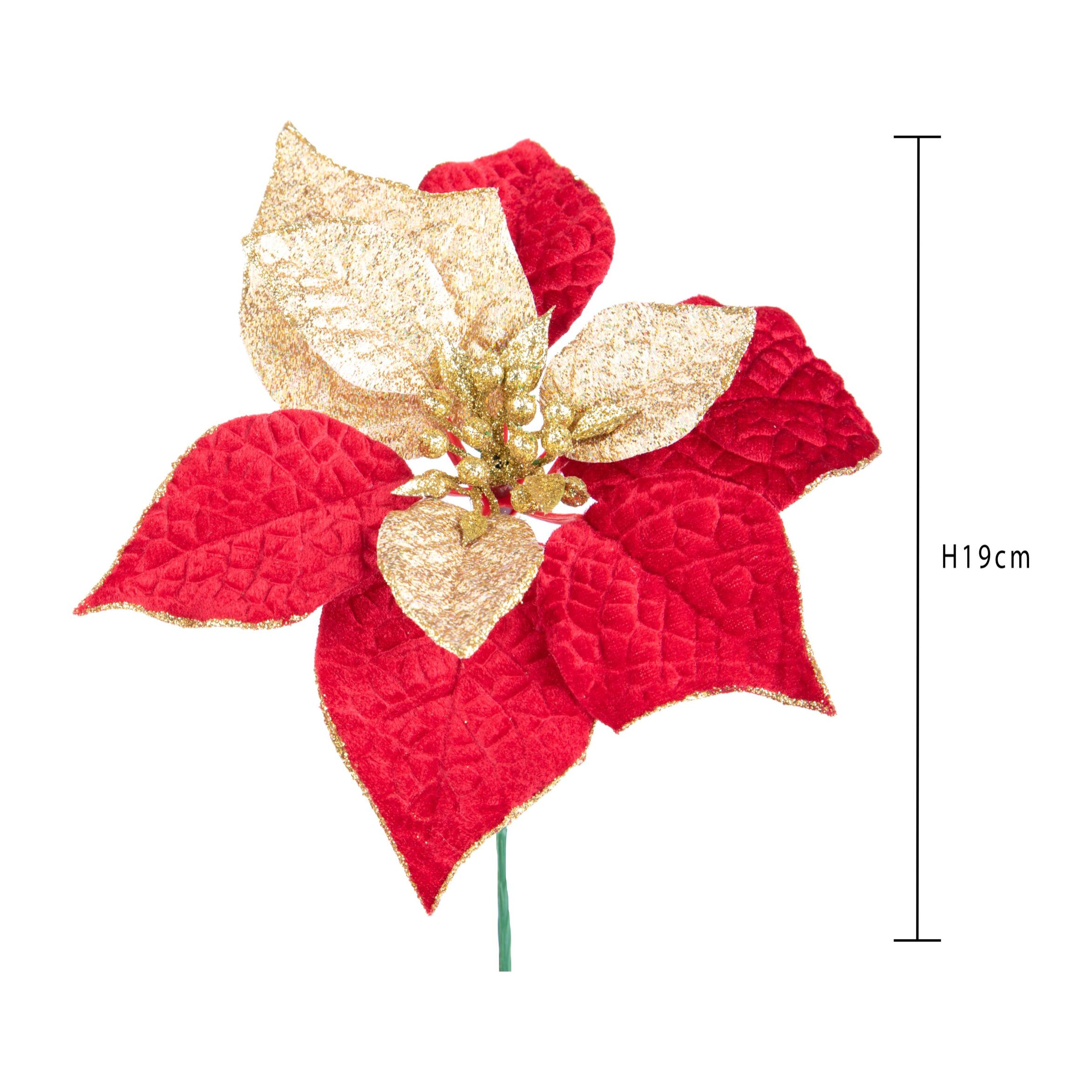 Pick natale - Pezzi 24 - 22xH19x22cm - Bianchi Dino SpA