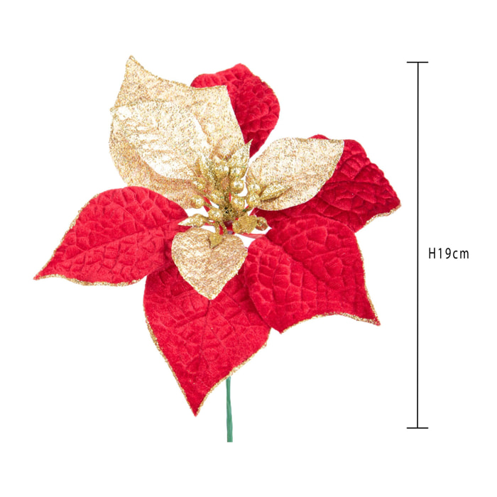 Pick natale - Pezzi 24 - 22xH19x22cm - Bianchi Dino SpA