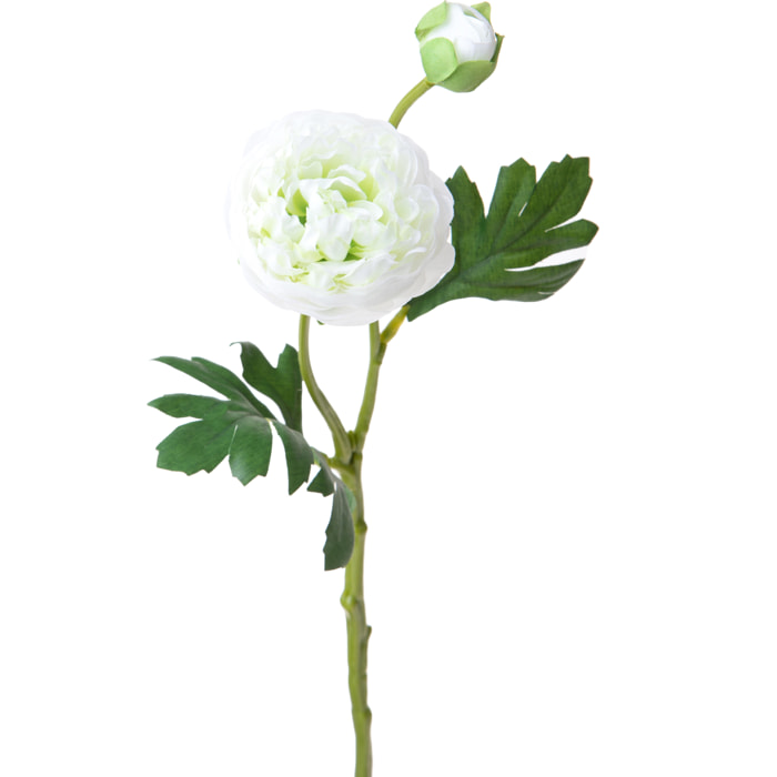 Ranuncolo Per 2 Fiori 33 Cm - Pezzi 12 - 18X33X15cm - Colore: Bianco - Bianchi Dino - Fiori Artificiali