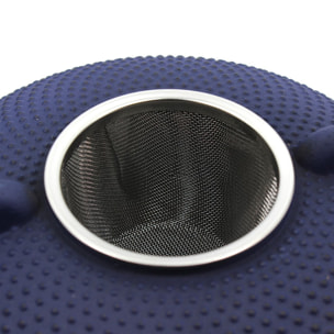 Théière en fonte bleue 0,8L TRESOR D'ASIE