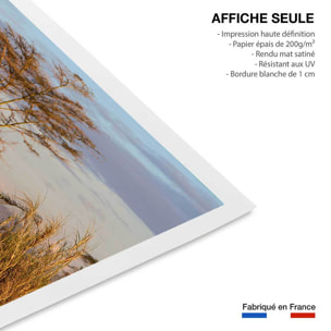 Affiche Lionnes... Affiche seule