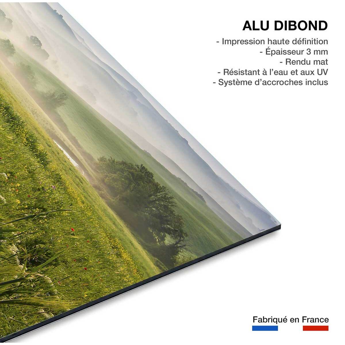 Tableau nature printemps toscan  Tableau alu Dibond