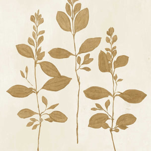 Affiche fleurs Recolte d'or Fresca Affiche + cadre en bois - Noir