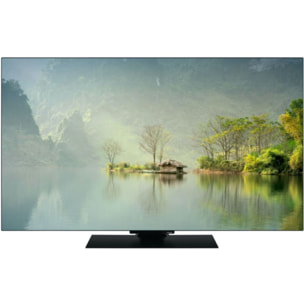 TV OLED PANASONIC TV-55Z80AEZ