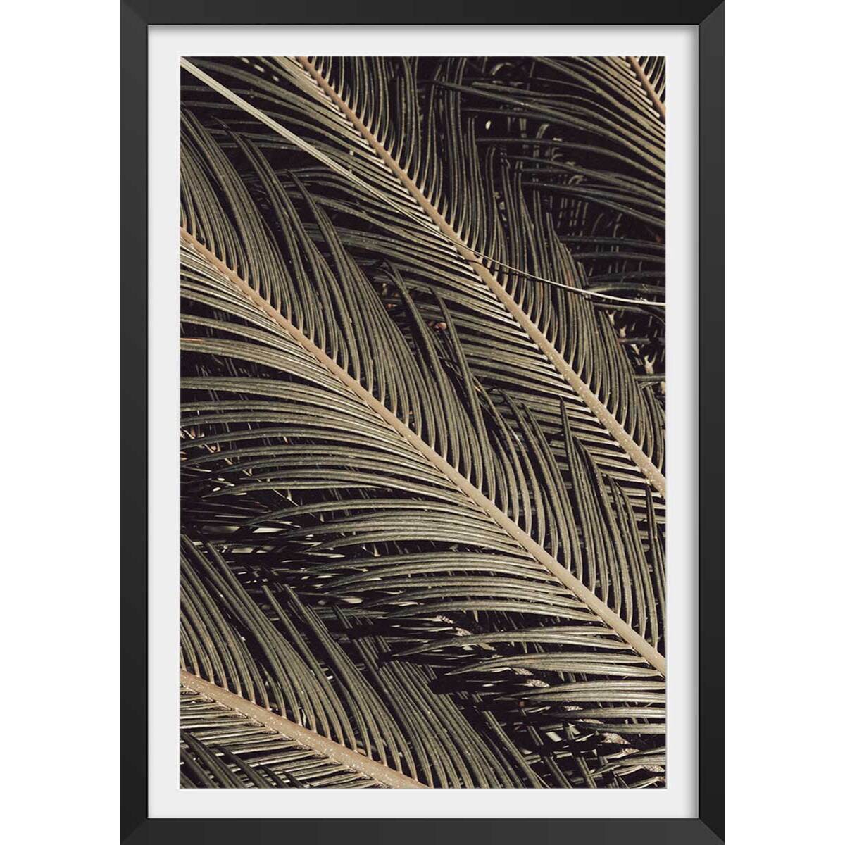 Poster palm island Affiche + cadre en bois - Noir