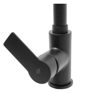 Mélangeur évier Swiss Aqua Technologies B-Way avec bras pivotant, 2 jets noir mat SATBSBW183