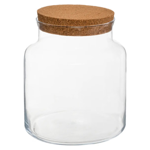 Terrarium verre H21cm