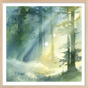 Affiche Bosquet ombragé Affiche + cadre en bois - Chêne