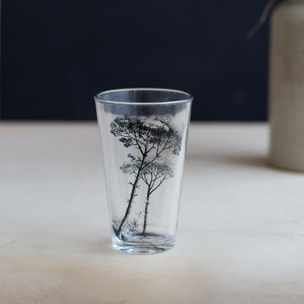 Lot de 6 verres, VILLA LES PINS