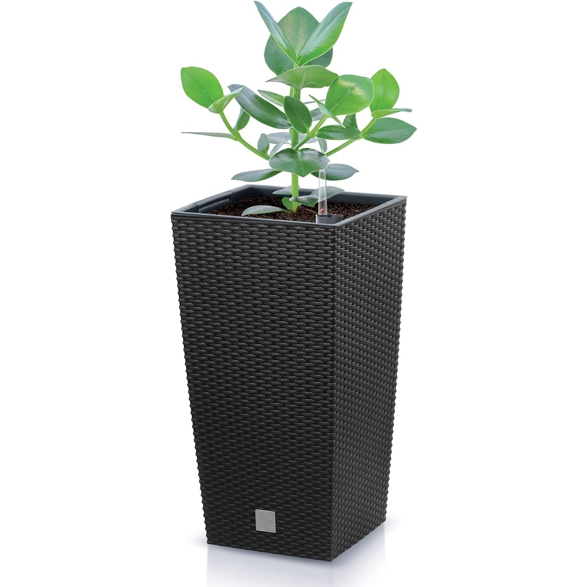 Maceta con inserto en color antracita