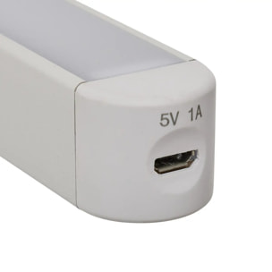 Lampe LED Amovible USB Blanc 42 cm
