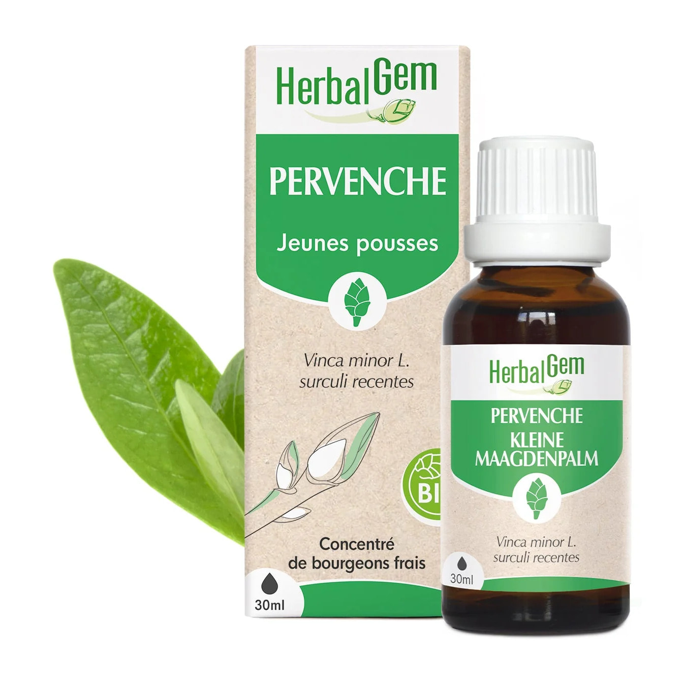 Herbalgem- Bourgeon de Pervenche - Bio - 30 ml