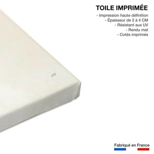 Tableau fleurs récolte d'or Roya Toile imprimée