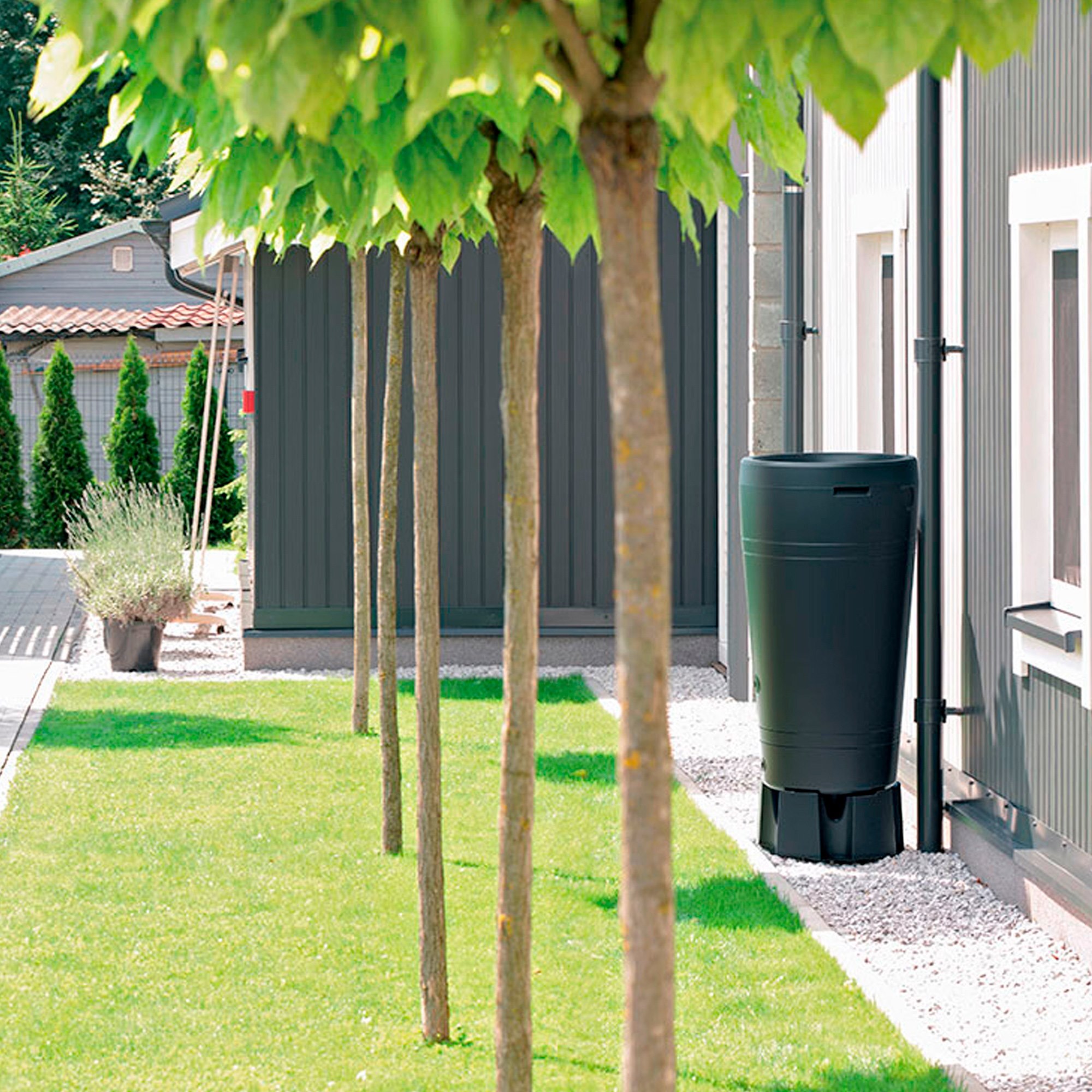 Barril de agua de lluvia 240l maze de plastico en color antracita 59,3 (largo) x 59,3 (ancho) x 111 (altura) cm