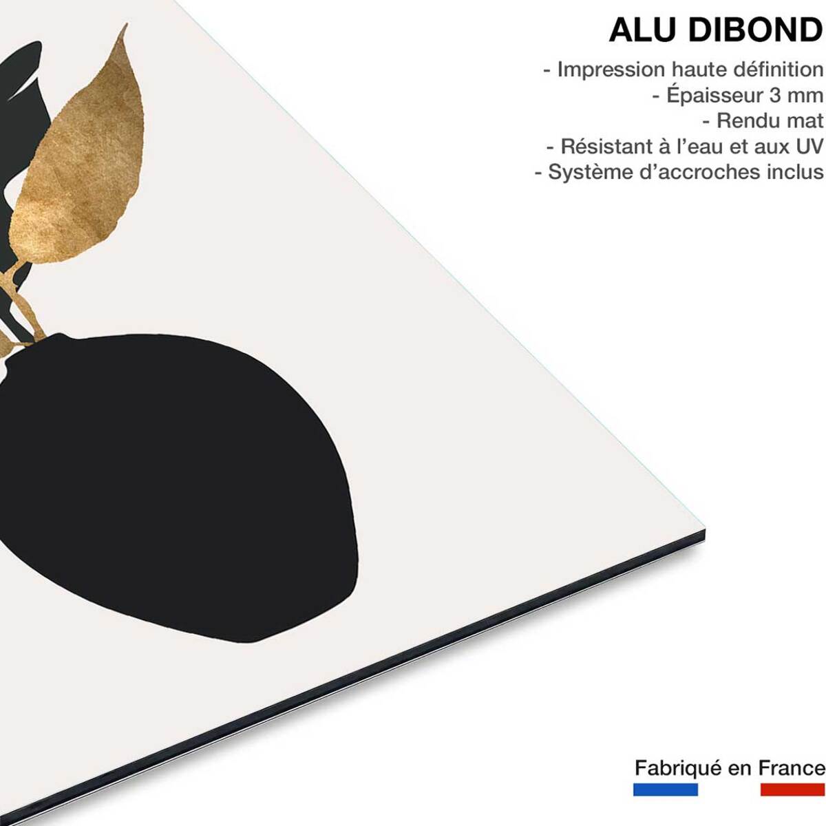 Tableau poterie et fleurs séchées Tableau alu Dibond