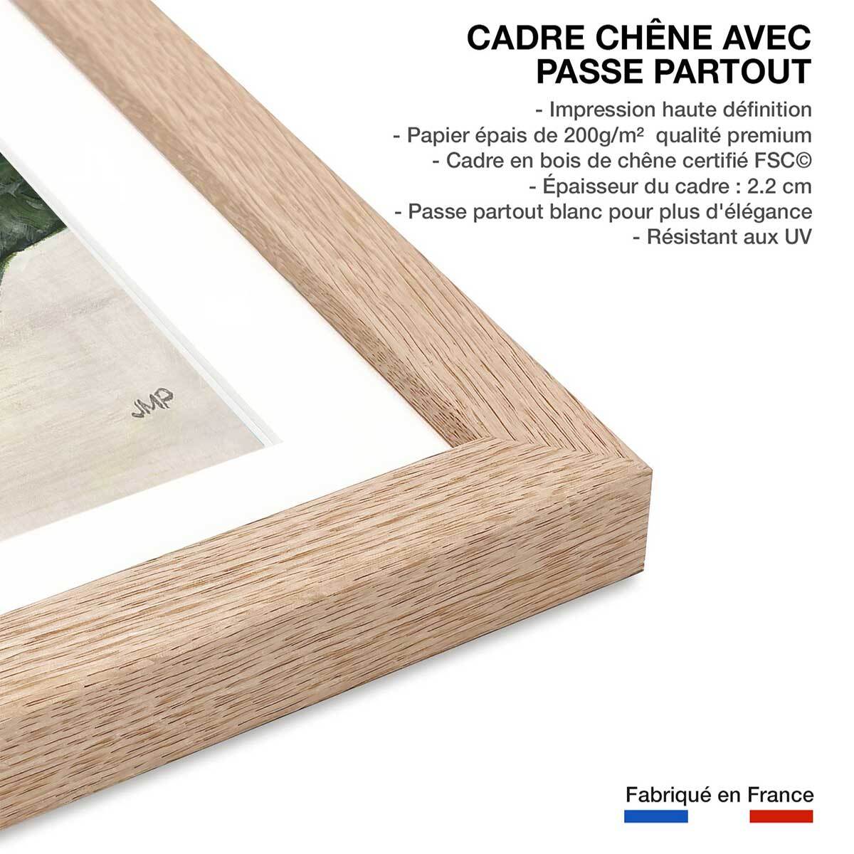 Poster Sanseveria aquarelle Affiche sous cadre bois