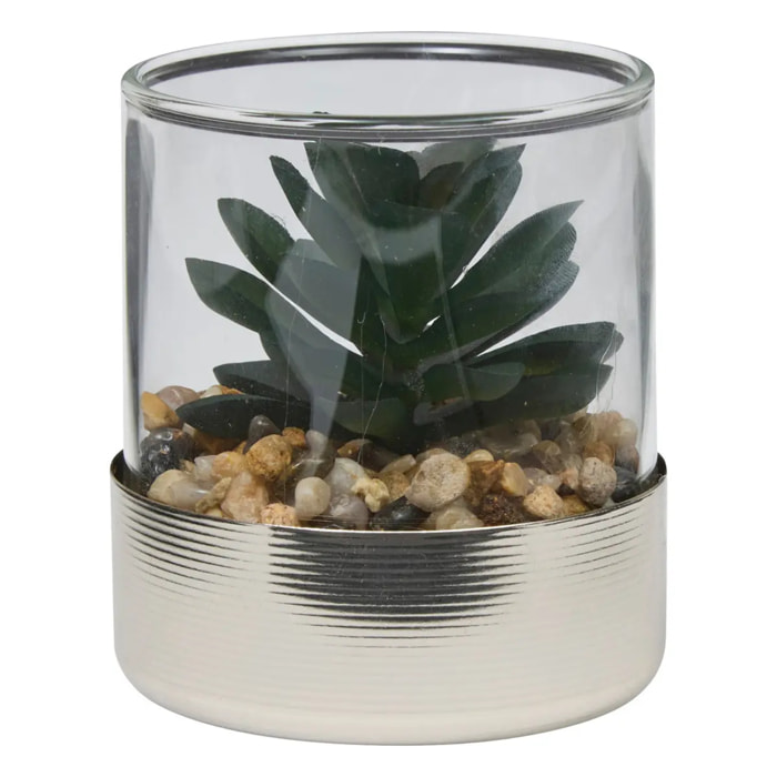 Terrarium Sky 8,5x8cm