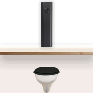 Pack WC suspendu GRIFFON 1950 Le Tube + bâti-support Charbon