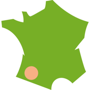 Hachoir MOULINEX VALENTIN Noir DJ120810