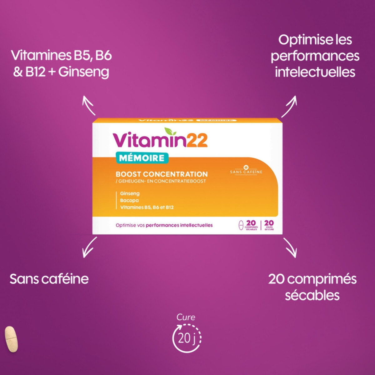 VITAMIN' 22 - Mémoire - Boost Concentration - Aide à soutenir les performances intellectuelles au quotidien - Cure 20 jours