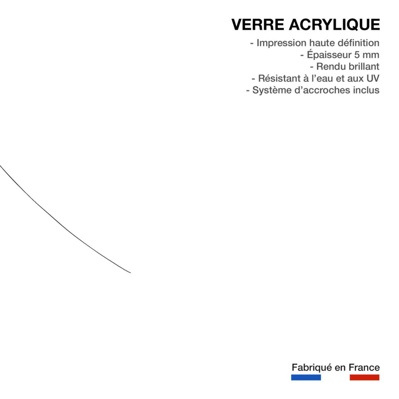 Tableau Bouton de rose croquis Tableau plexiglas