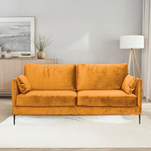 Canapé Velours Droit Splendido - 2 Places