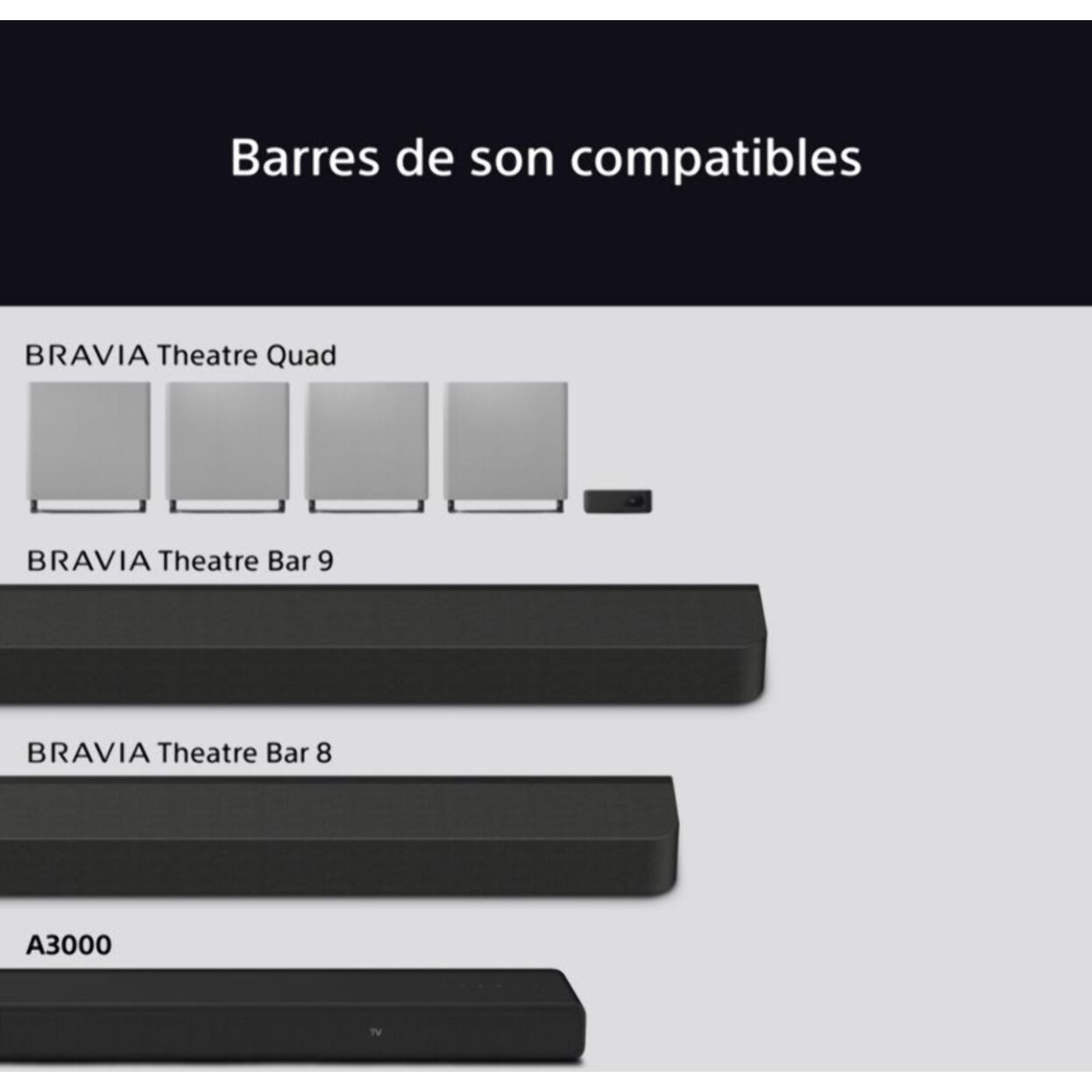 Caisson de basse SONY Bravia Theatre Sub 7