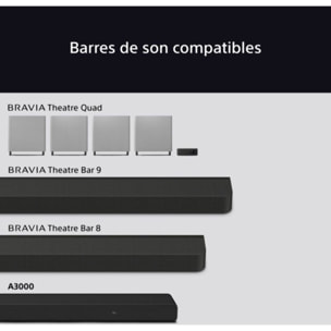 Caisson de basse SONY Bravia Theatre Sub 7
