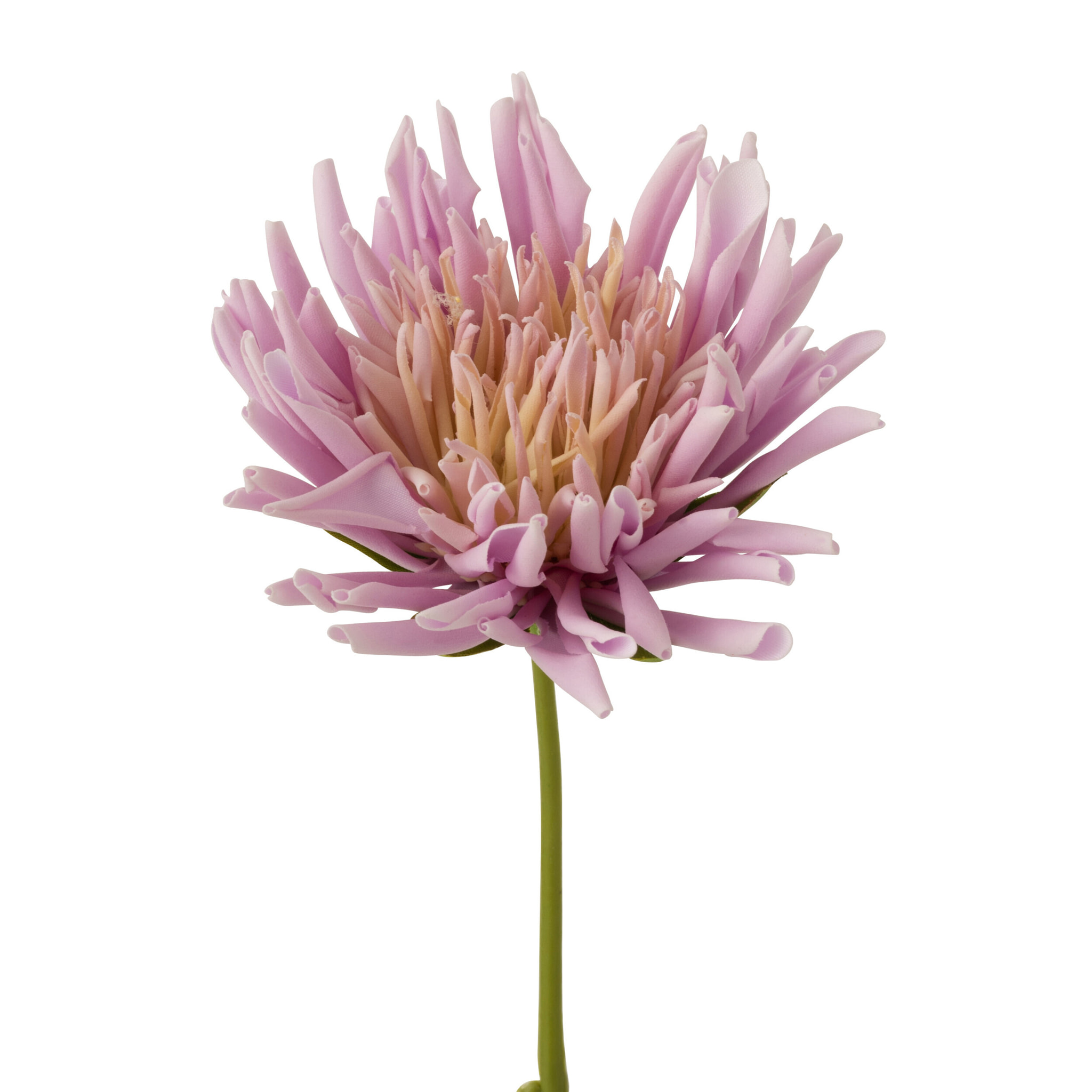 J-Line fleur Chrysantheme Mini - plastique - blanc/mauve clair - 24 pcs