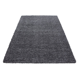 OTTAWA - Tapis shaggy uni Gris