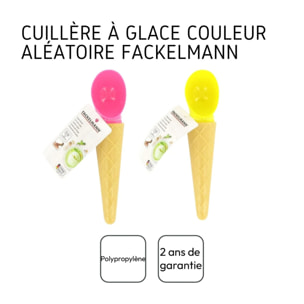 Cuillère à glace coloris aléatoire Fackelmann