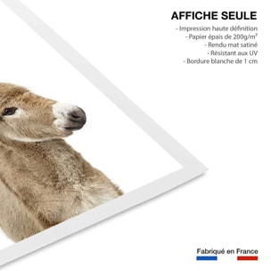 Affiche enfant anon  Affiche seule