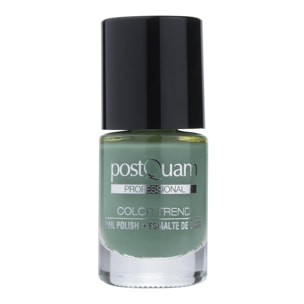 Vernis à ongles pastel gass vert pastel 10 ml.