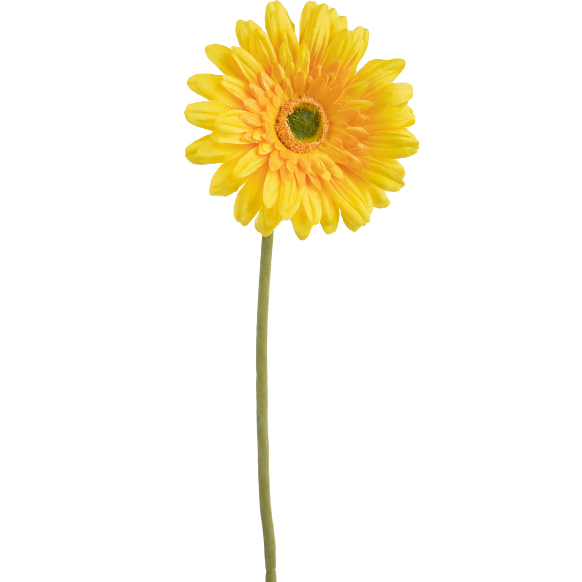 Fiore Di Gerbera Singolo. Altezza 62 Cm - Pezzi 12 - 12X62X12cm - Colore: Giallo - Bianchi Dino - Fiori Artificiali