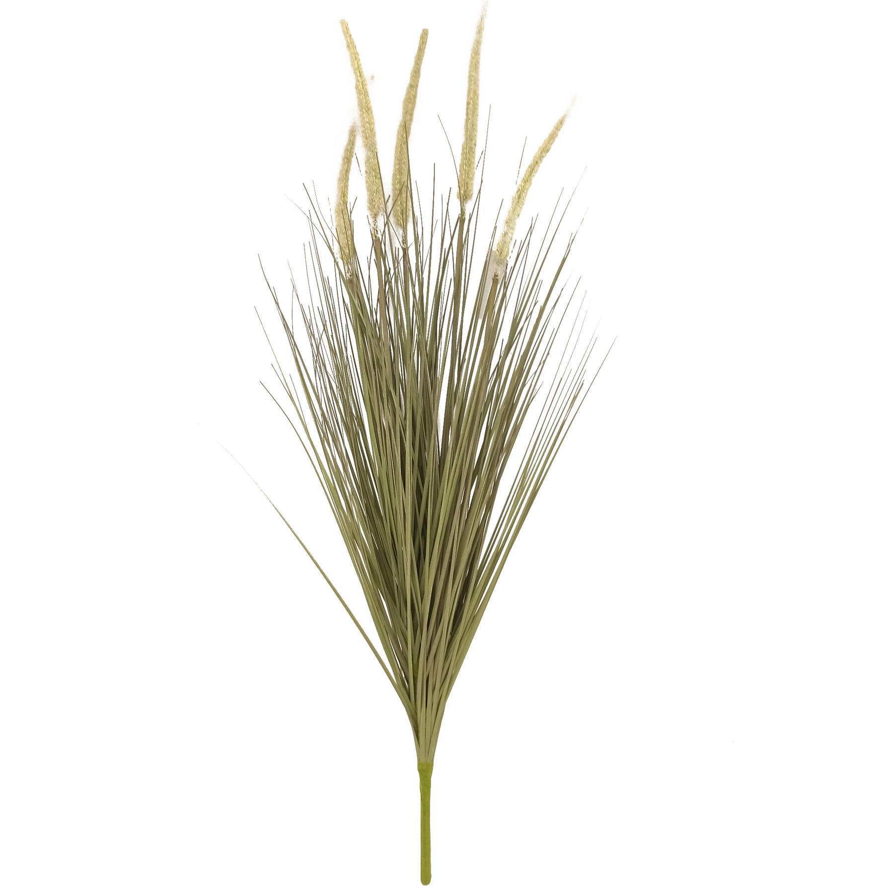 Pennisetum Con Fiori 79 Cm - Pezzi 2 - 20X79X16cm - Colore: Multicolore - Bianchi Dino - Piante Verdi