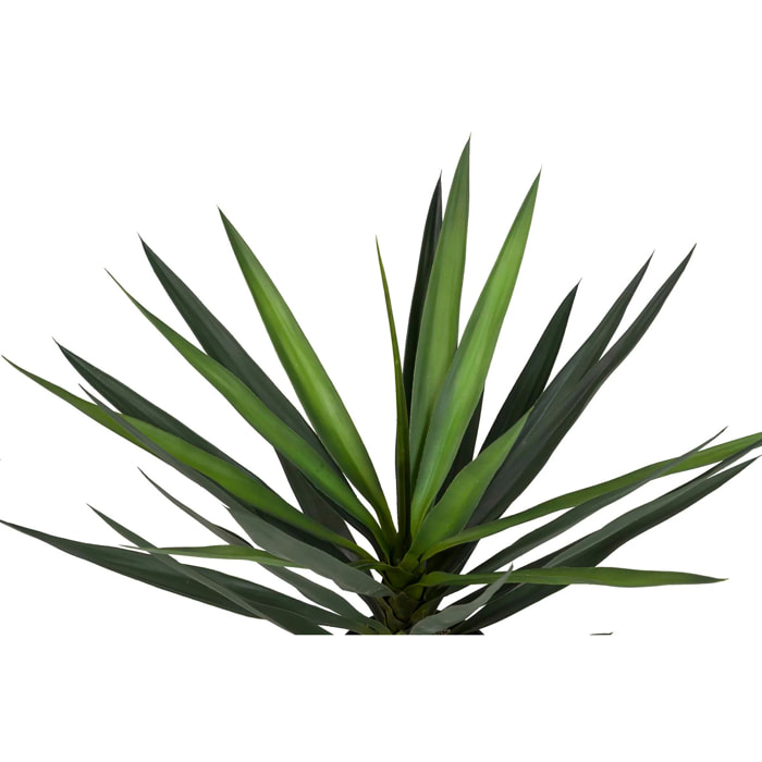 Planta Yucca Con Maceta 70x70x70 Cm