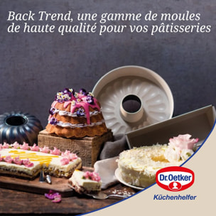 Moule à manqué à charnière avec fond à savarin Dr Oetker Back-Trend