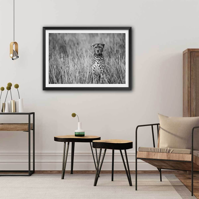 Affiche animaux Cheetah Affiche + cadre en bois - Noir