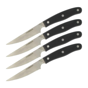 Lot de 4 couteaux à steak 22 cm Nirosta Fit