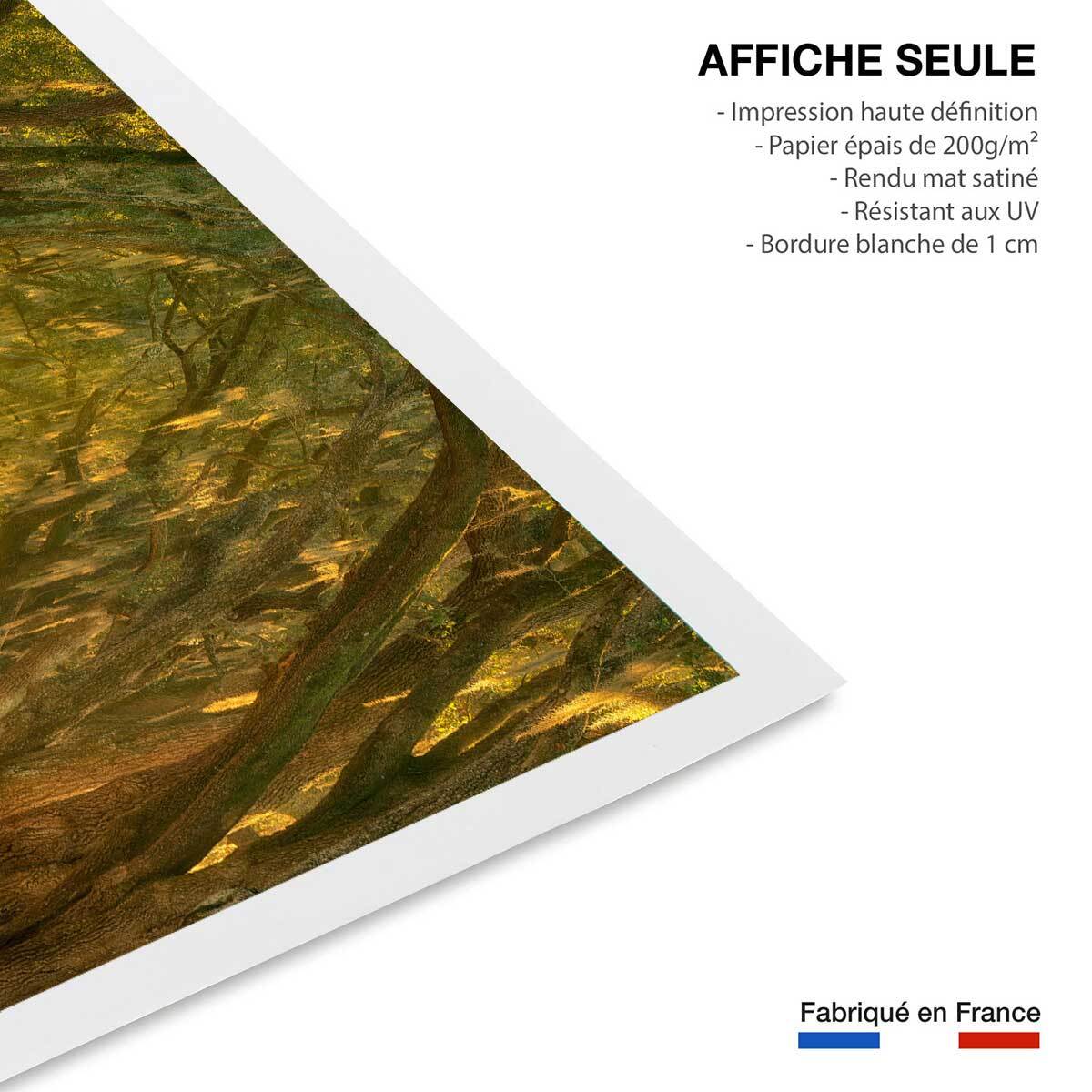 Affiche ""Allee enchanteresse"" Affiche seule