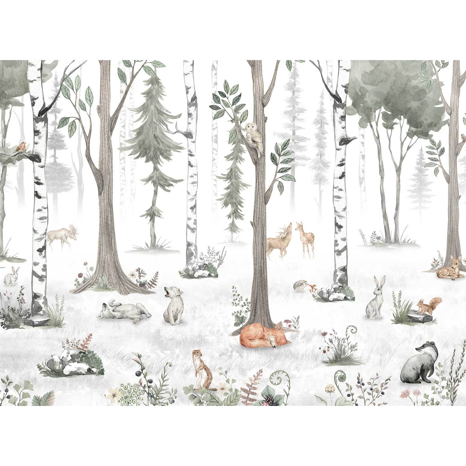 Papier enfant Forêt de bouleaux et Cie Intissé