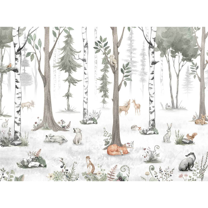 Papier enfant Forêt de bouleaux et Cie Intissé
