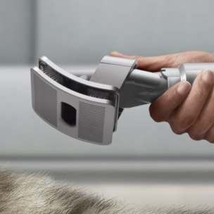 Kit pour animaux Dyson